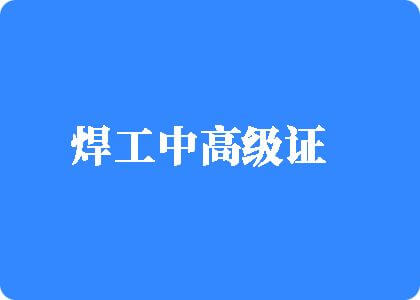 大鸡吧操逼带音视频焊工中高级证